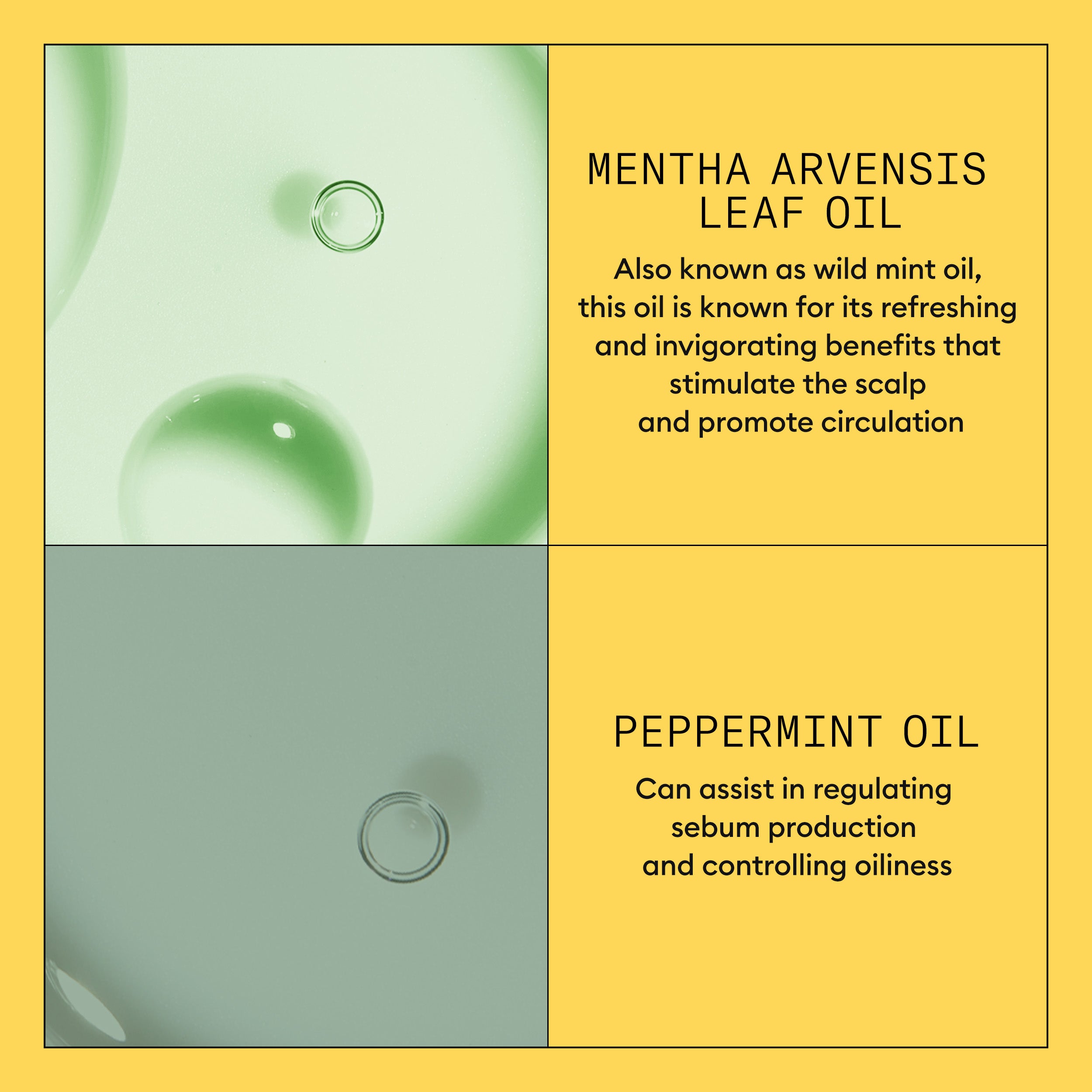 NIOXIN SCALP THERAPY SYSTEM 1