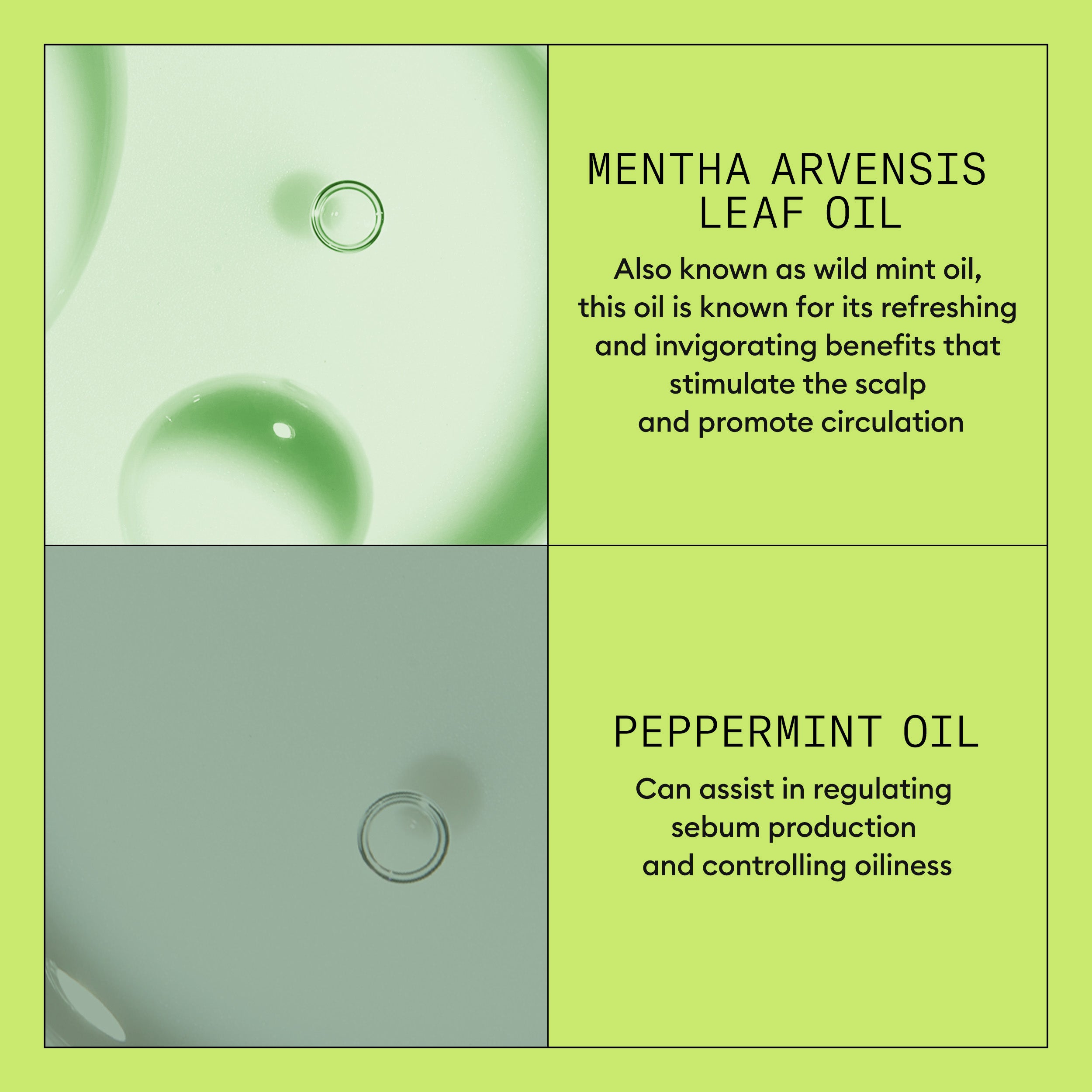NIOXIN SCALP THERAPY SYSTEM 2