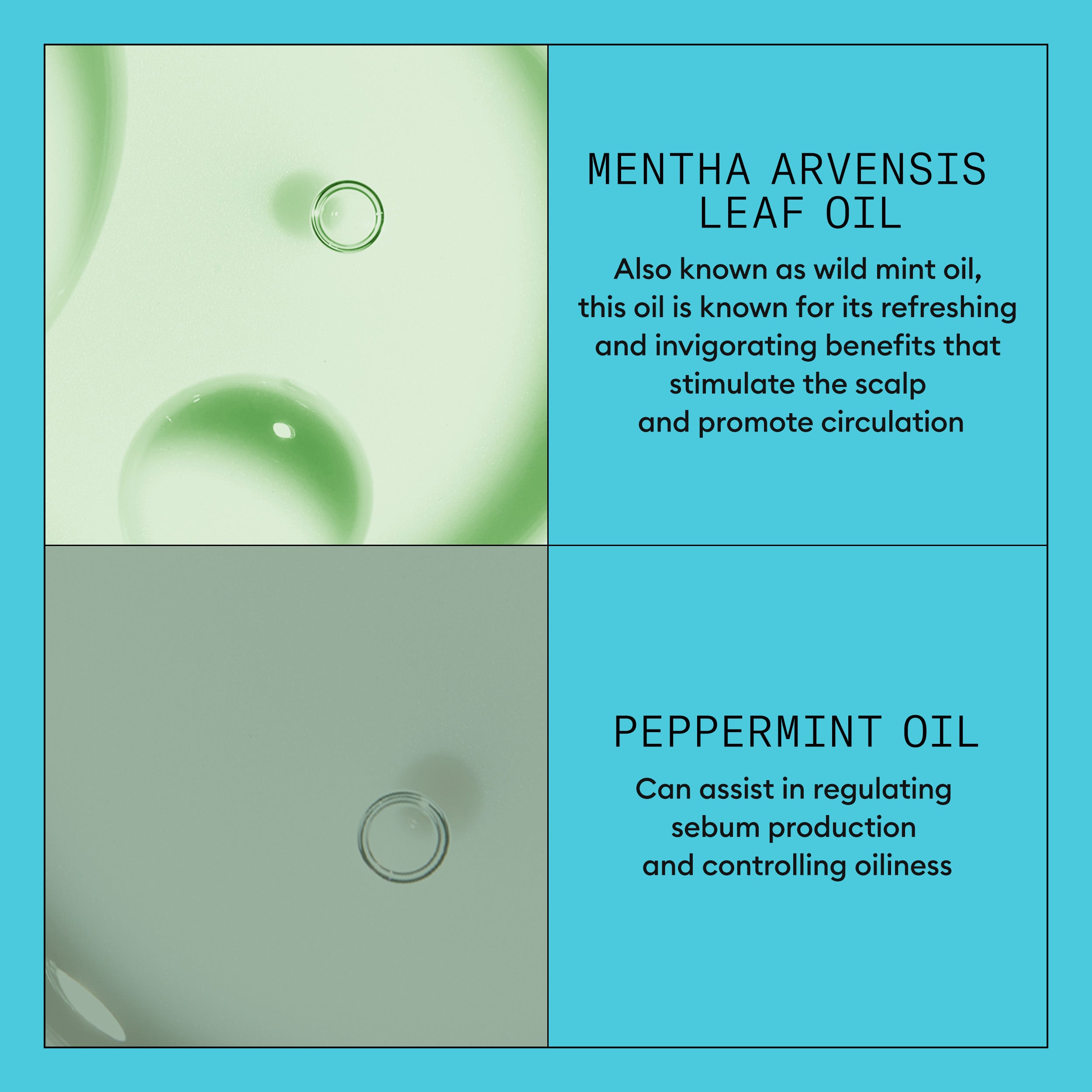 NIOXIN SCALP THERAPY SYSTEM 3