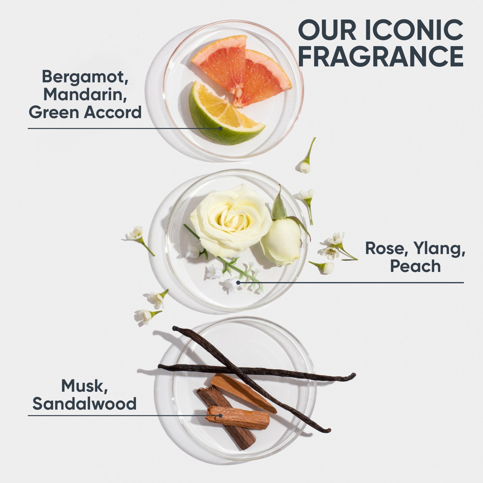 Biolage HydraSource Deep Treatment for Dry Hair