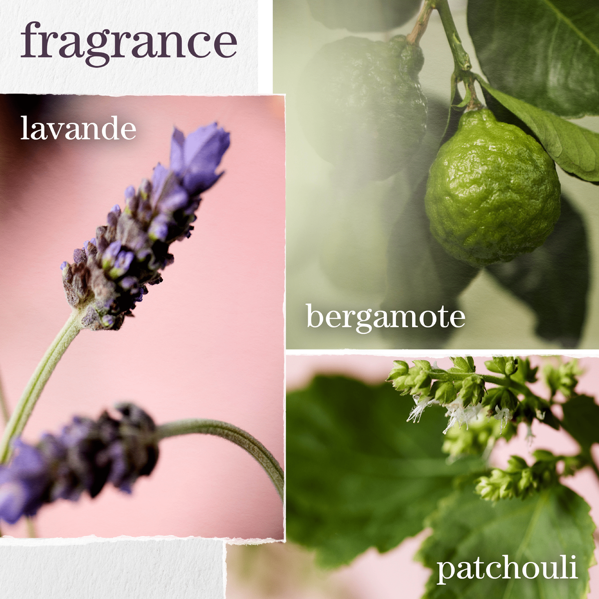 Pureology. Coffret Hydrate Sheer Spring