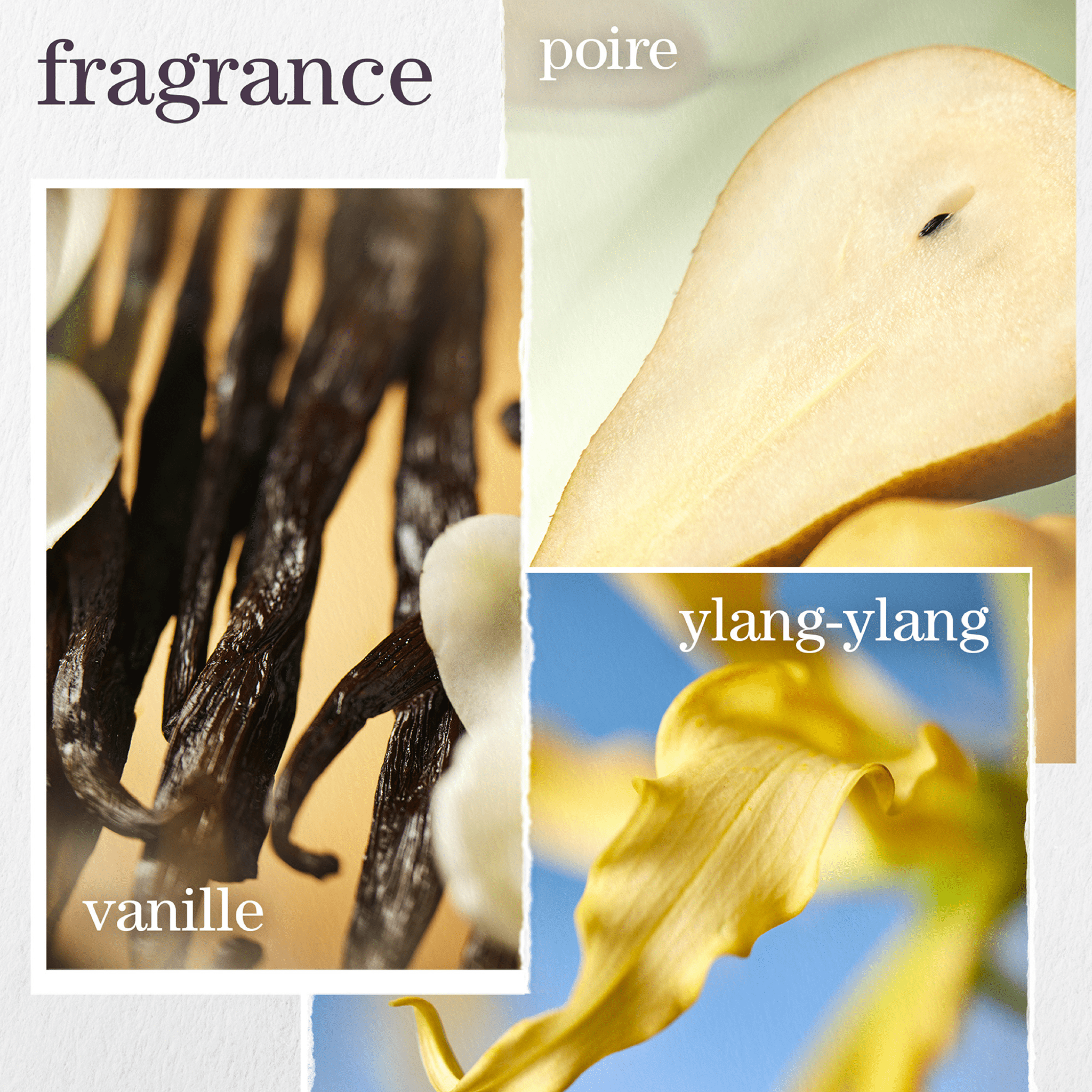 Pureology. Coffret Nanoworks Gold Spring