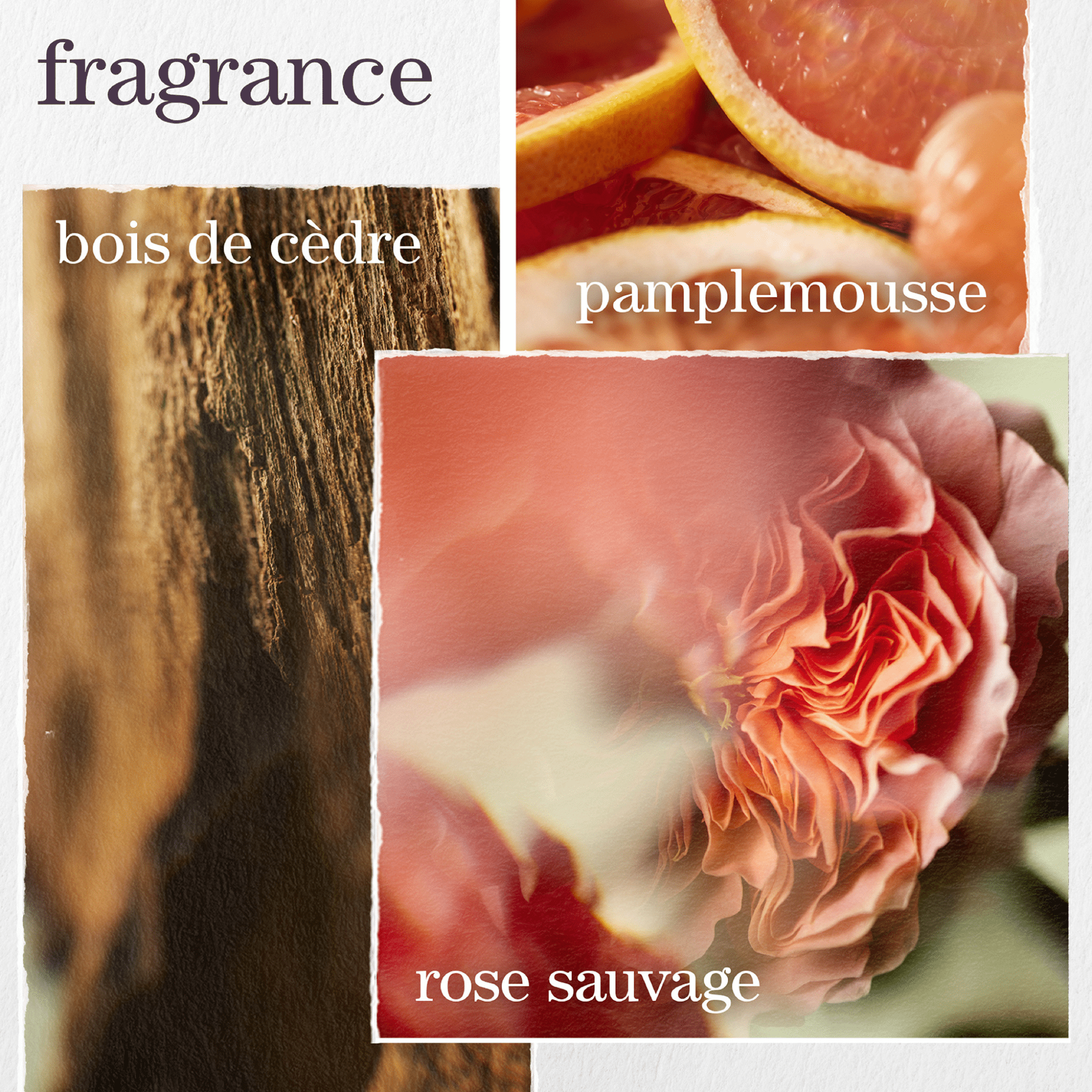 Pureology. Coffret Printemps Pure Volume