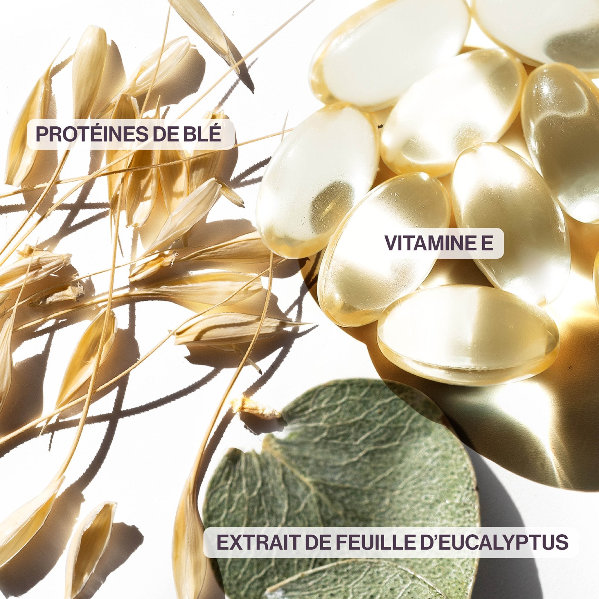 Pureology. Coffret Hydrate Sheer pour les fêtes