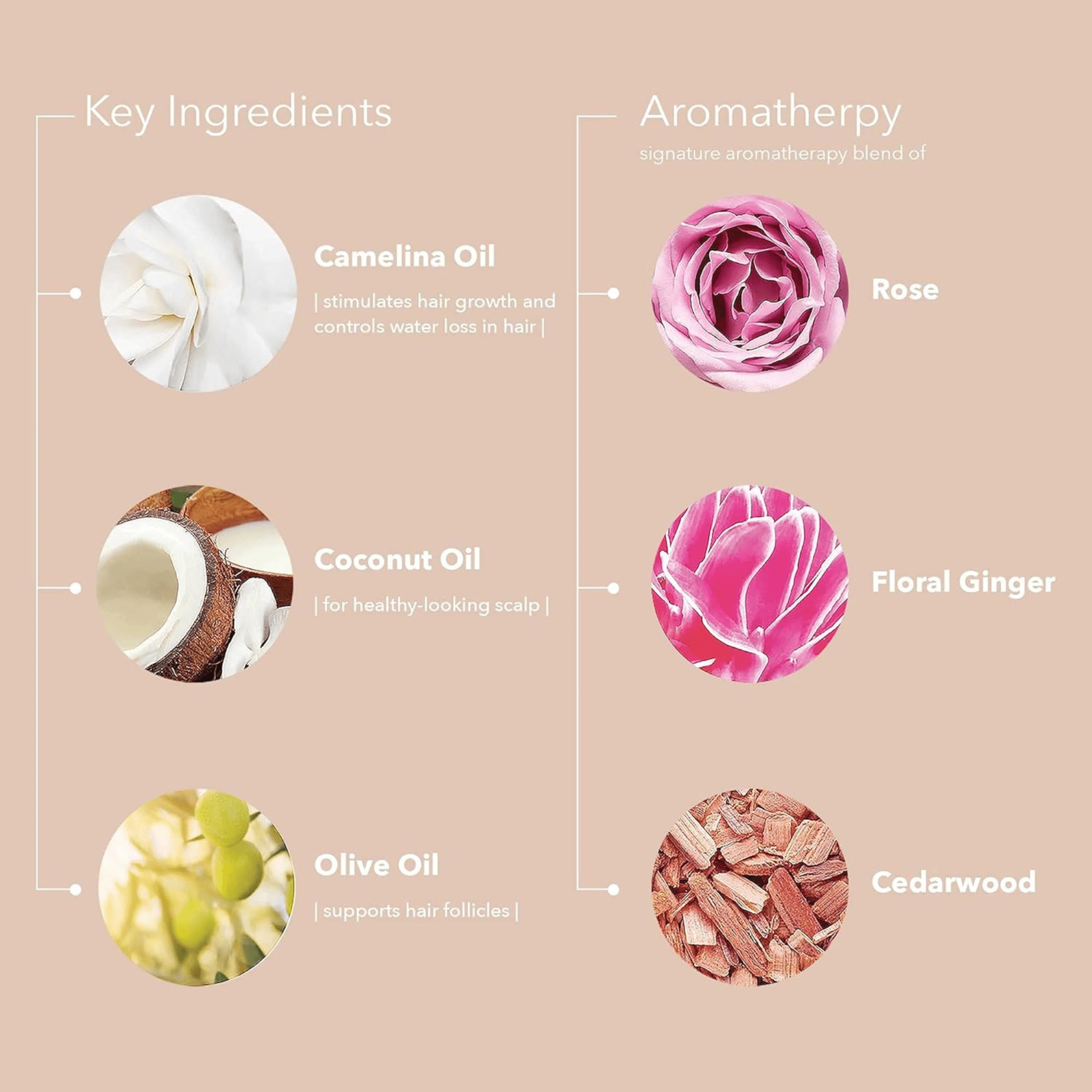 Pureology. Masque hydratant multi-usages Colour Fanatic - 200 ml