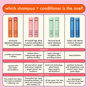 Recharge d'après-shampoing antioxydant Amika Mirrorball