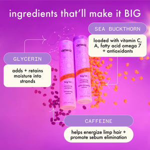 Après-shampoing volumisant Amika Big Hit