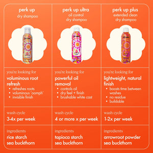 Shampoing sec Amika Perk Up
