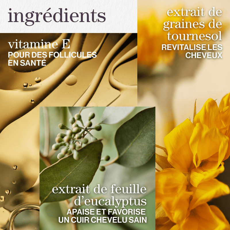 Pureology. Coffret Printemps Pure Volume